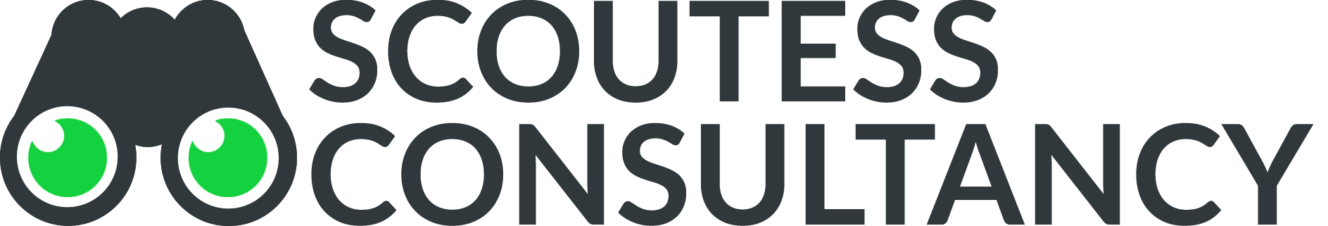 Scoutess Consultancy